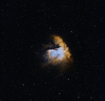 steve-busch-44ECpsk2Gx0-unsplash